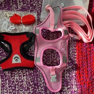 Red and Pink for Your Amazing Dog